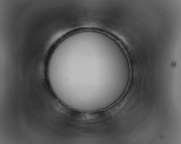 X0000102261311200808081351