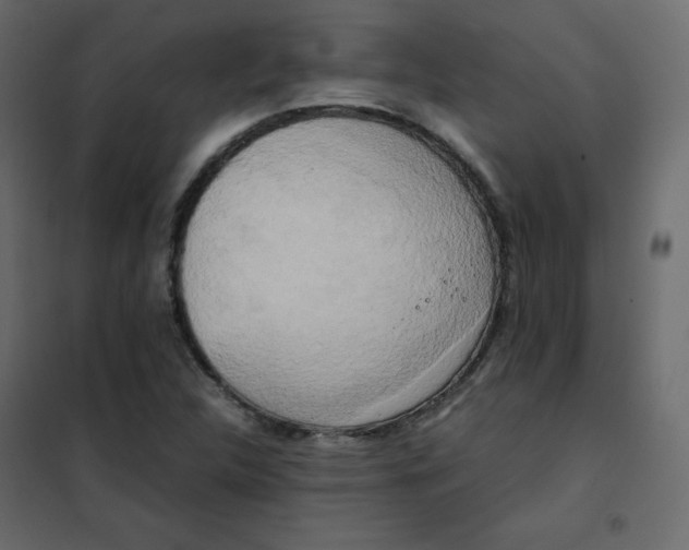 X0000102261312200808081351