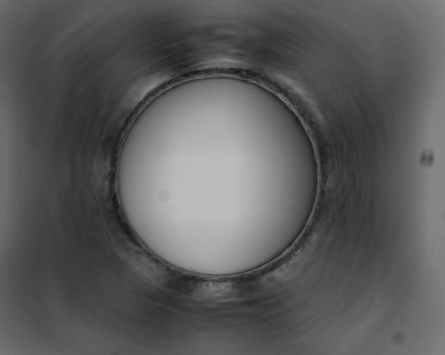 X0000102261313200808081351