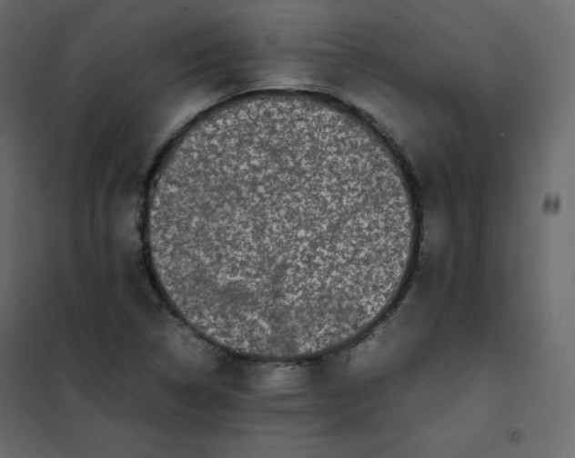 X0000102261314200808081351