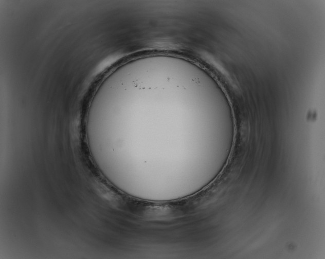 X0000102261315200808081351