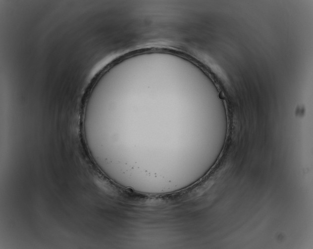 X0000102261316200808081351