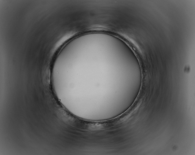 X0000102261317200808081351