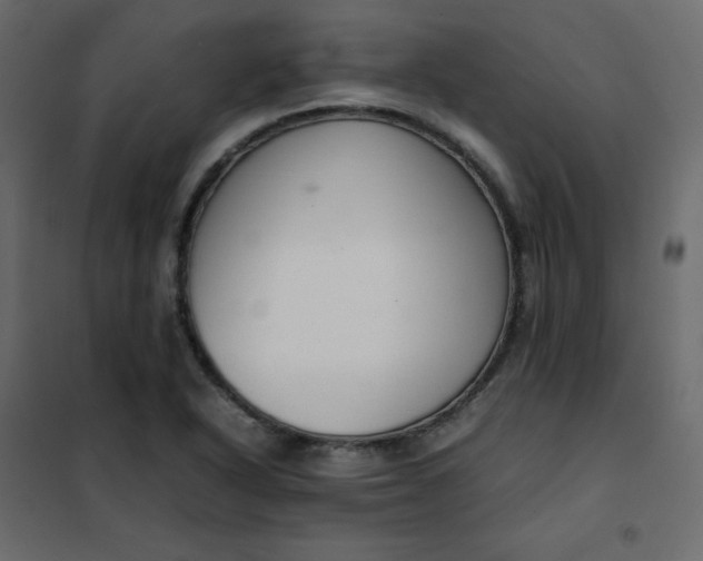 X0000102261318200808081351