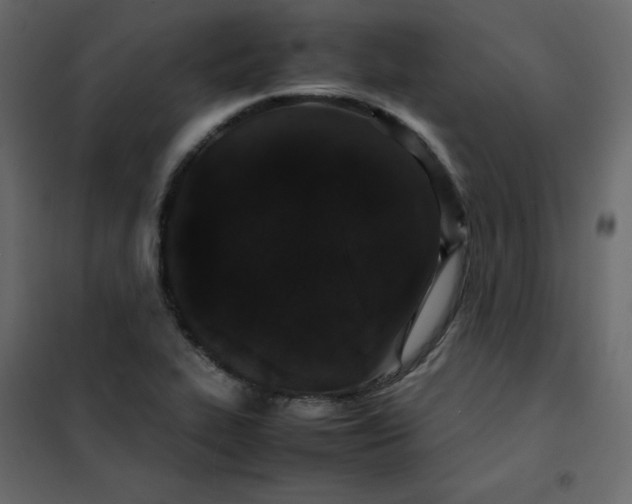 X0000102261319200808081351