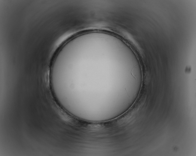 X0000102261320200808081351