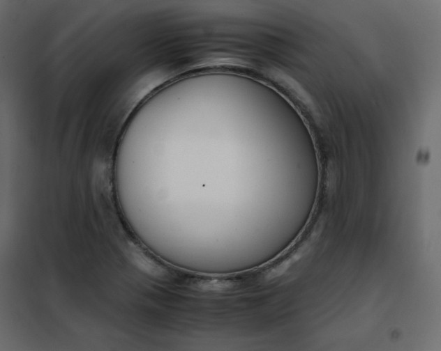 X0000102261321200808081351