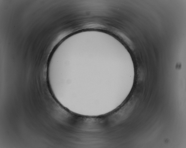 X0000102261322200808081351