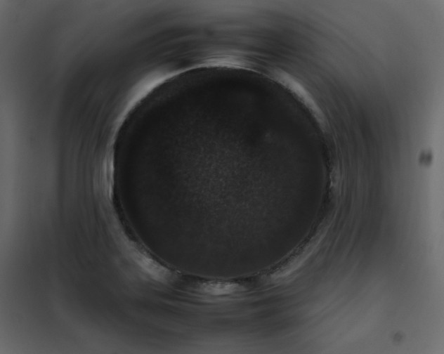 X0000102261323200808081351