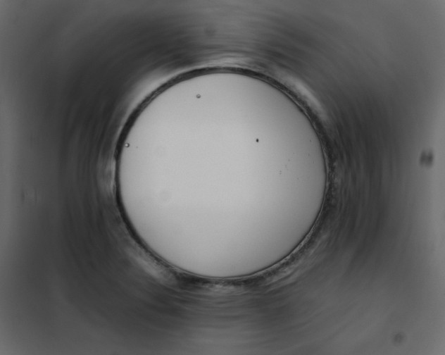 X0000102261324200808081351