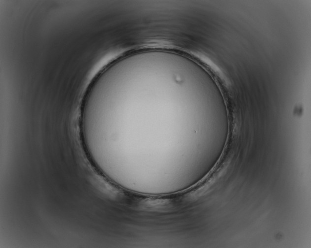 X0000102261325200808081351