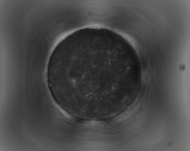 X0000102261327200808081351