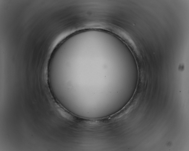 X0000102261328200808081351