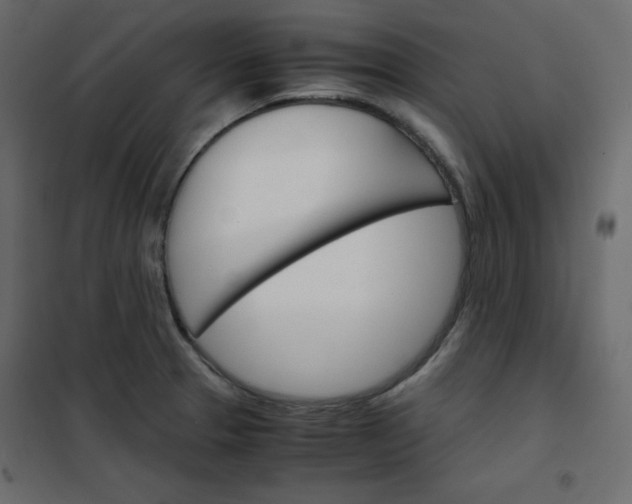 X0000102261329200808081351