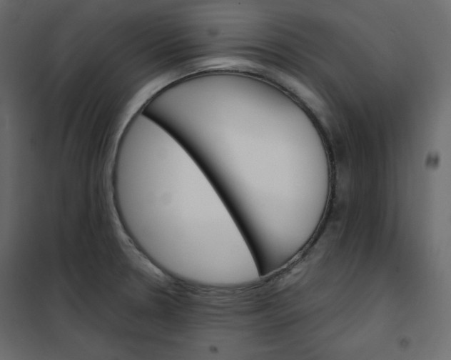 X0000102261330200808081351