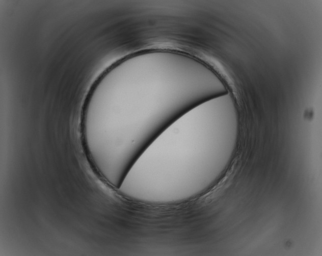 X0000102261331200808081351