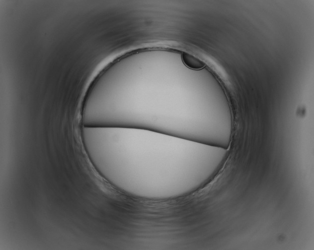 X0000102261332200808081352