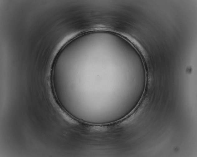 X0000102261333200808081352