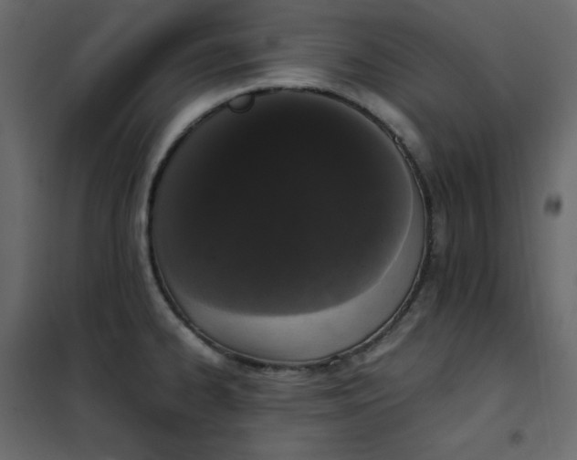 X0000102261334200808081352