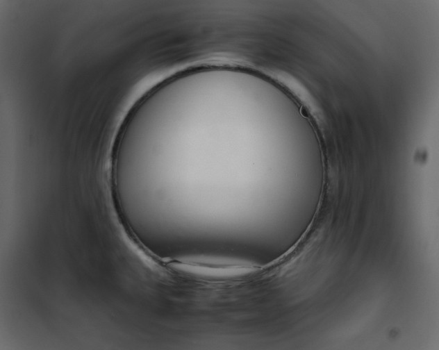 X0000102261335200808081352