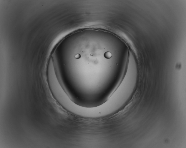 X0000102261336200808081352