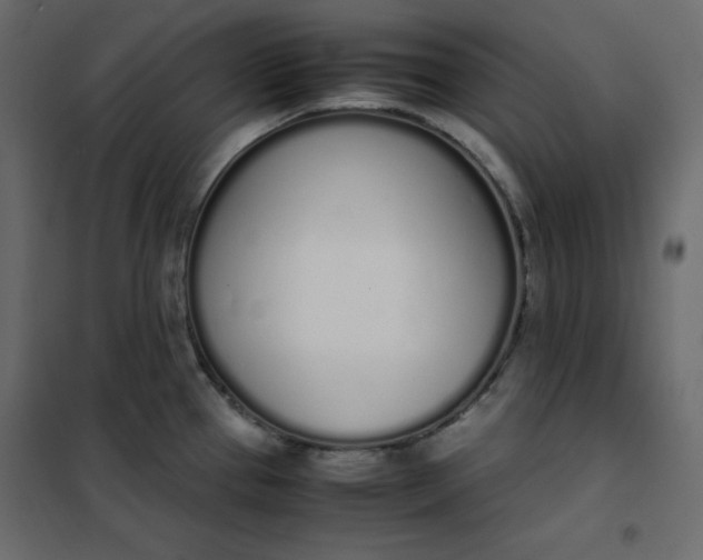 X0000102261337200808081352