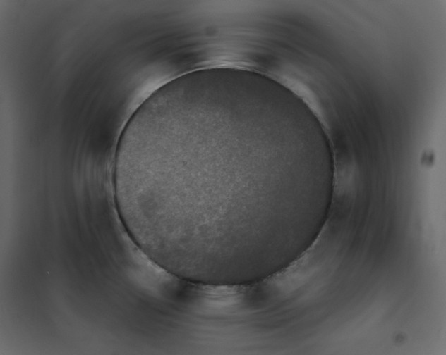 X0000102261338200808081352