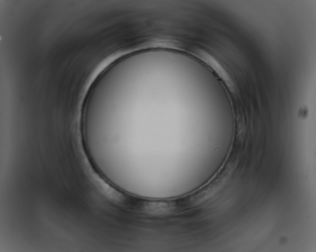 X0000102261339200808081352