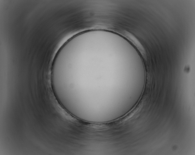 X0000102261340200808081352