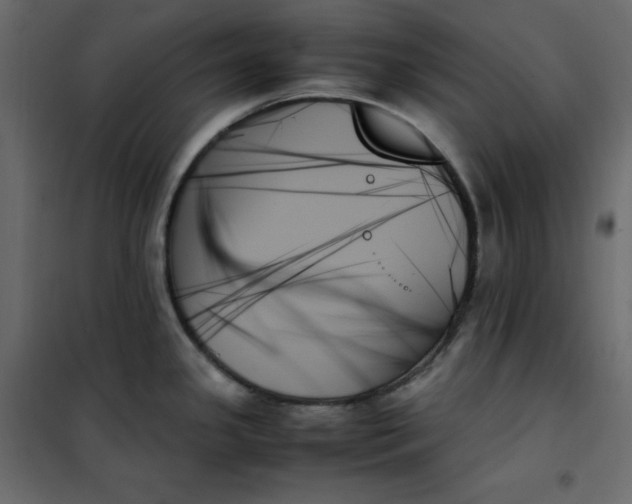 X0000102261341200808081352