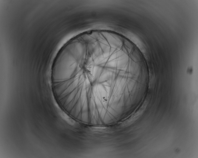 X0000102261342200808081352