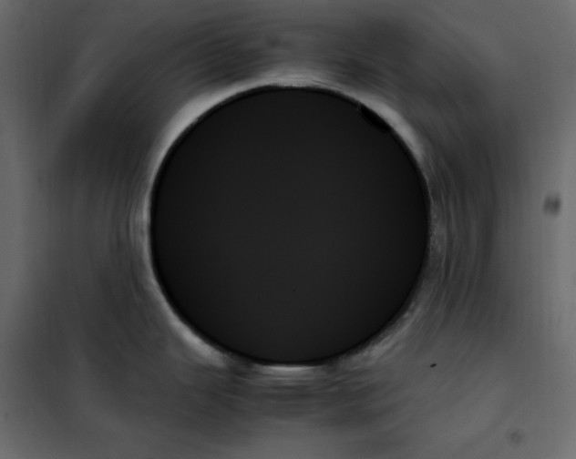 X0000102261343200808081352