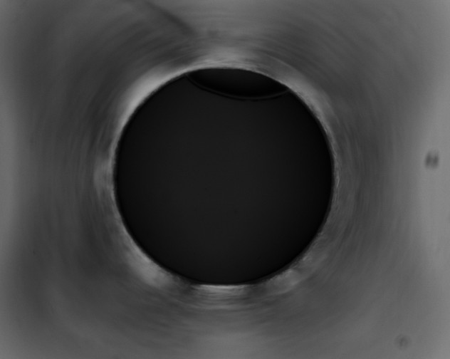 X0000102261344200808081352