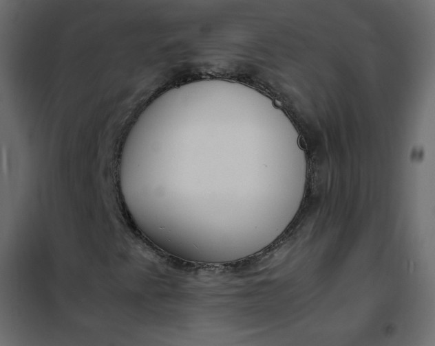 X0000102261345200808081351