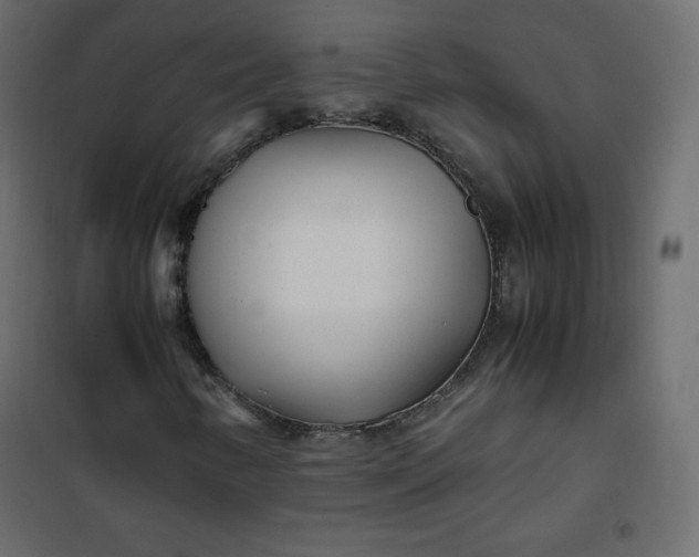 X0000102261346200808081351