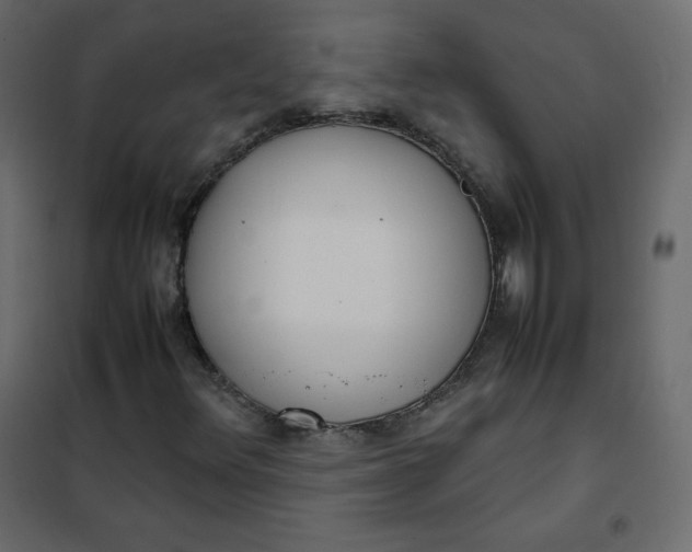 X0000102261348200808081351