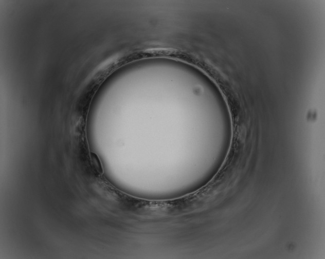 X0000102261351200808081351