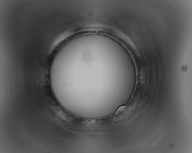 X0000102261352200808081351