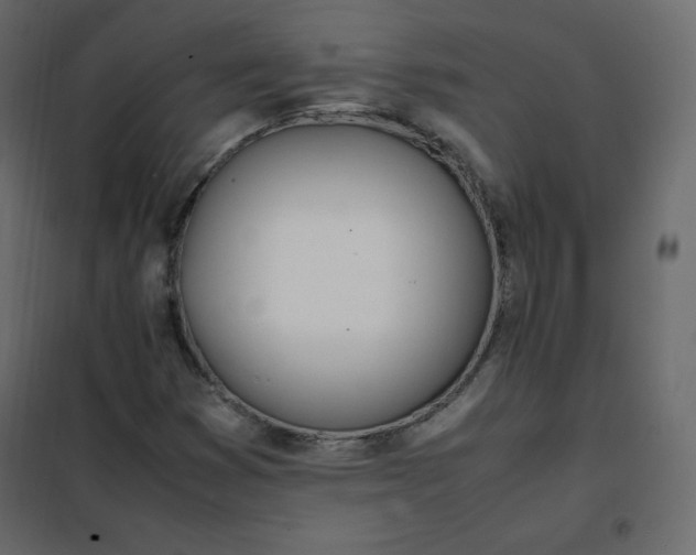 X0000102261353200808081351