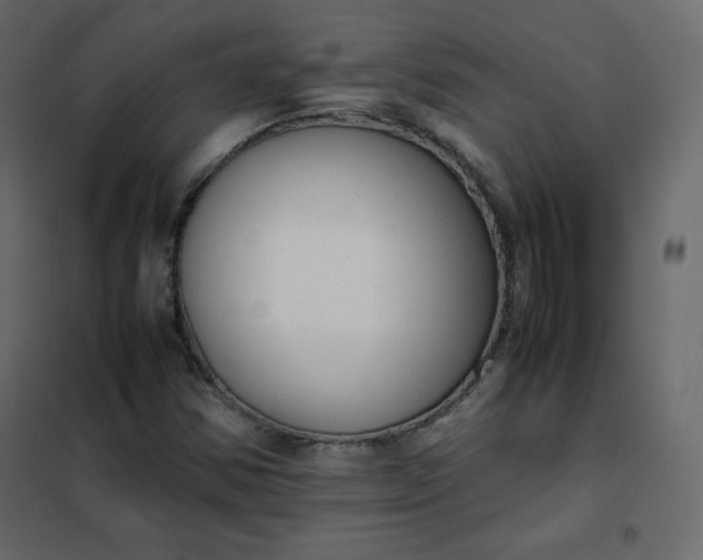 X0000102261354200808081351