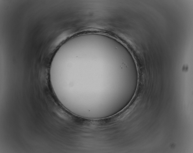 X0000102261355200808081351