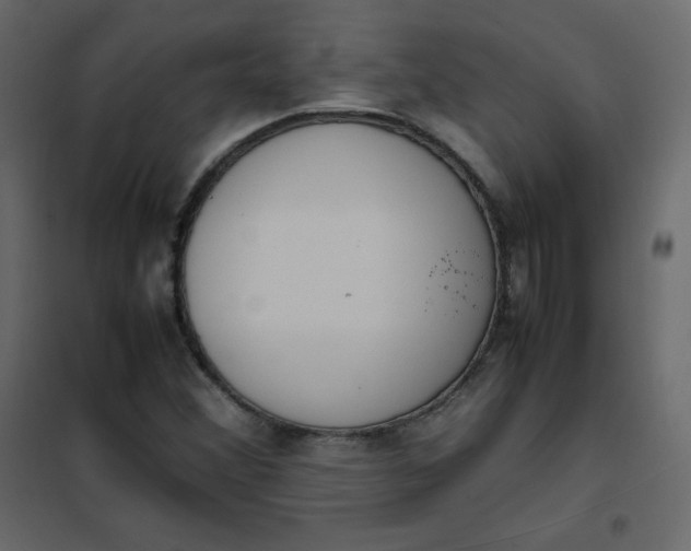 X0000102261356200808081351