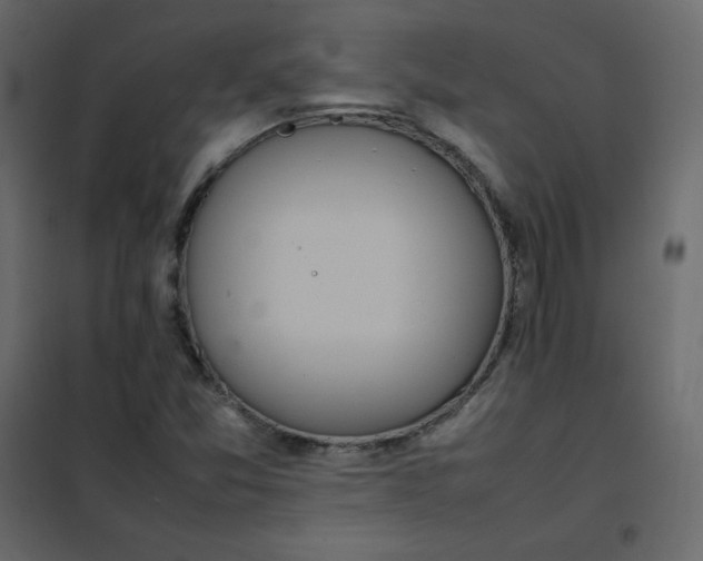 X0000102261357200808081351