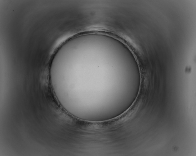 X0000102261358200808081351