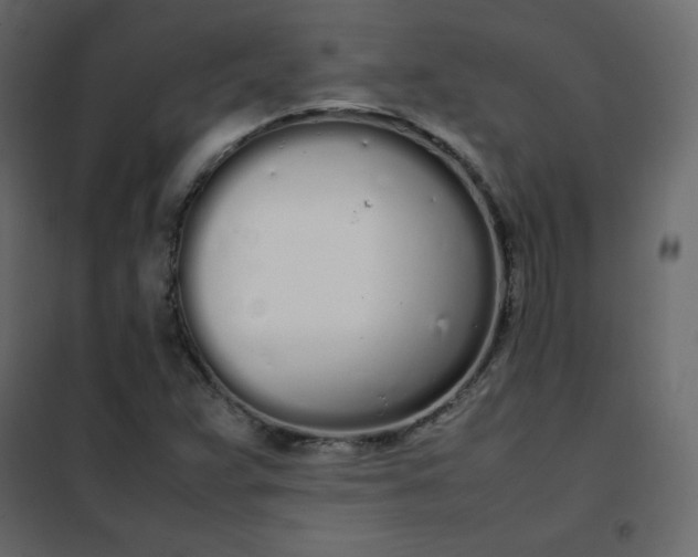 X0000102261359200808081351