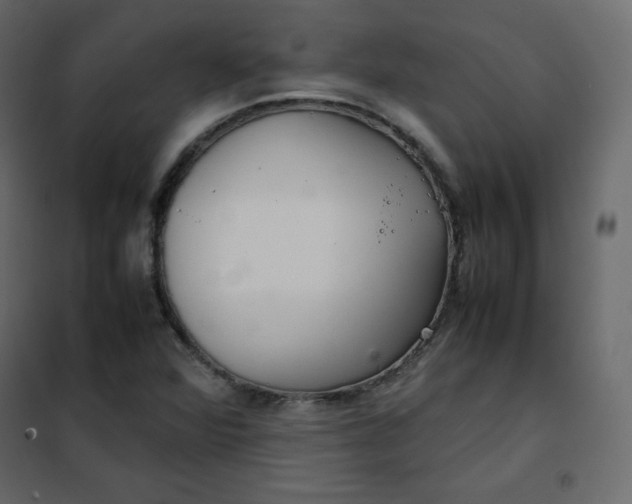 X0000102261360200808081351