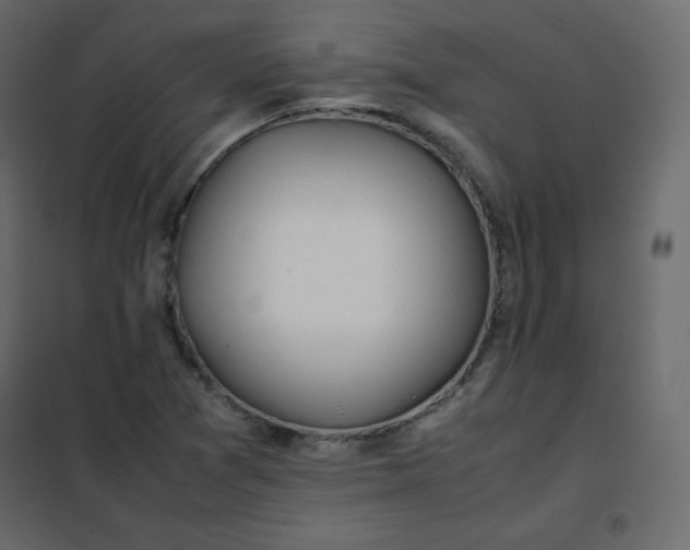 X0000102261361200808081351