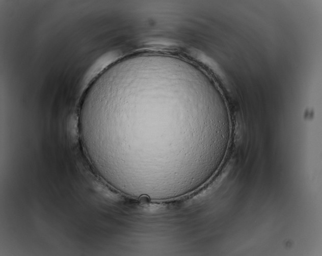 X0000102261362200808081351