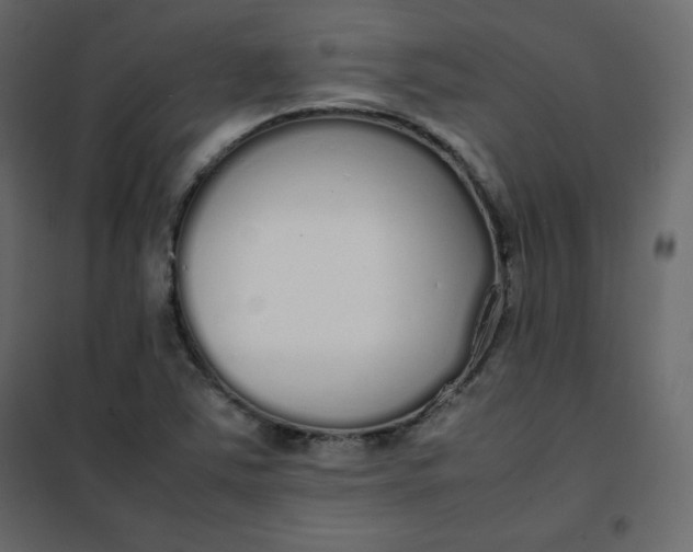 X0000102261363200808081351