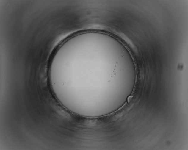 X0000102261364200808081351